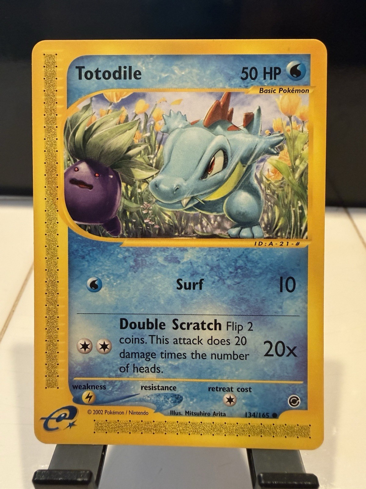 Vintage Totodile 134/165 - Expedition Base Set 2002 Pokemon Card - NM