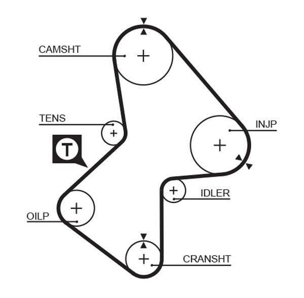 GATES-OE 5051 Timing Belt for RENAULT,VOLVO