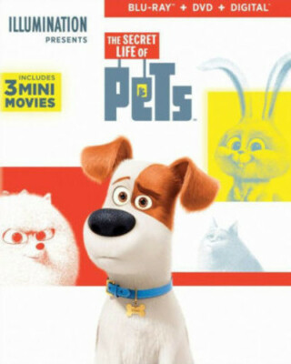 Universal Studios Secret Life Of Pets On Disney Plus The Secret