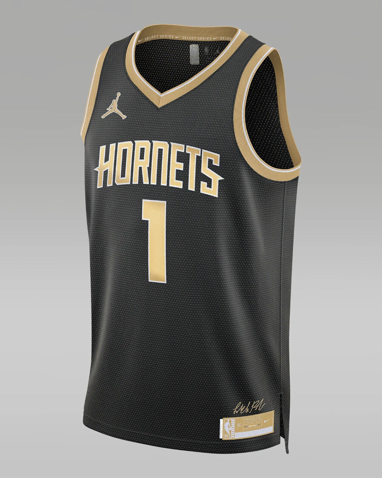 Трикотажная майка Nike LaMelo Ball Charlotte Hornets 2024 FN5904-053 NBA Neu XS