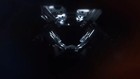 Video 1 von 1