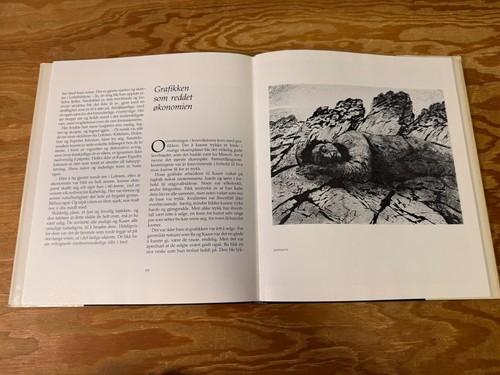 1979 Arne Durban Artist Kaare Espolin Johnson Signed HC DJ Norway - Picture 15 of 18