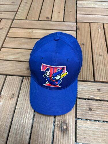 Toronto Blue Jays Embroidered Vintage Blue Snap Back Hat Cap