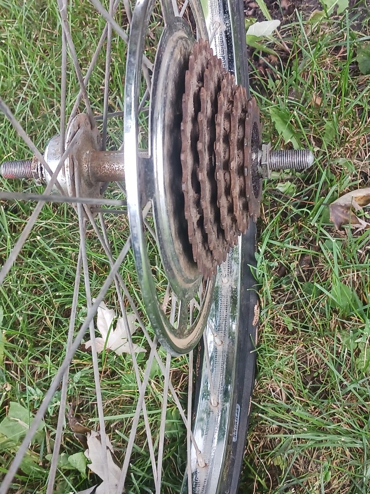 Murray eliminator Mark Four 20",5speed Rear Rim Sears Spyder Muscle