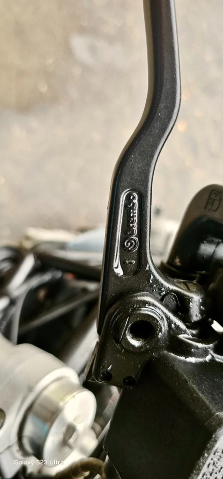 2001 Ducati Monsterdark - image 4 of 4