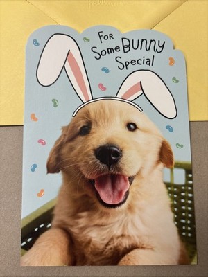 Easter Funny Cute Dog Some Bunny Special 5 x7  Hallmark Greeting Card