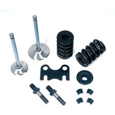 Dart Sbc Parts Kit - 1 Head 2.021.60 1.250 Spring- 28111000