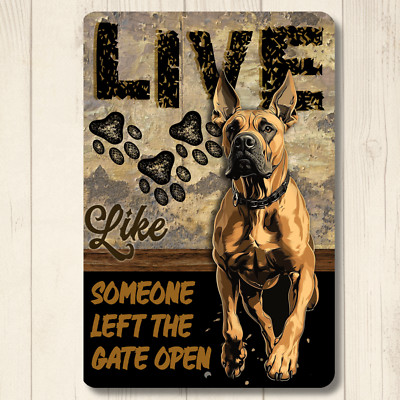 Great Dane Sign Live Like Someone Left Gate Open Door Open dog metal wall art