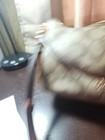 Picture 3 of 6