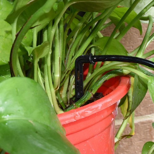Greenhouse Drip Irrigation Kit Automatic Watering System Garden 4-Way Hose Pot - Picture 16 of 19