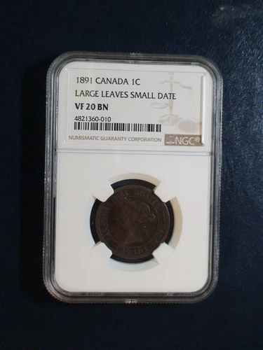 1891 Canada LARGE Cent NGC VF20 BN LARGE LEAVES SMALL DATE 1C Coin BUY IT NOW!