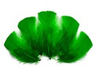 Bild 6 von 9