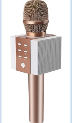 Bluetooth Karaoke Microphone Rosegold As Seen On Tiktok