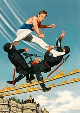 Gymkata 1985 Kurt Thomas Movie Poster Wall Art B3 B4