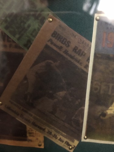 Scatola ombra legno baseball vintage decorazione parete caratteristiche Babe Ruth 20X11X3 vetro frontale - Foto 14 di 19