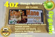 hongos/hongo melena de león en Polvo 4oz (Hericium erinaceus) Melena de leon !!!