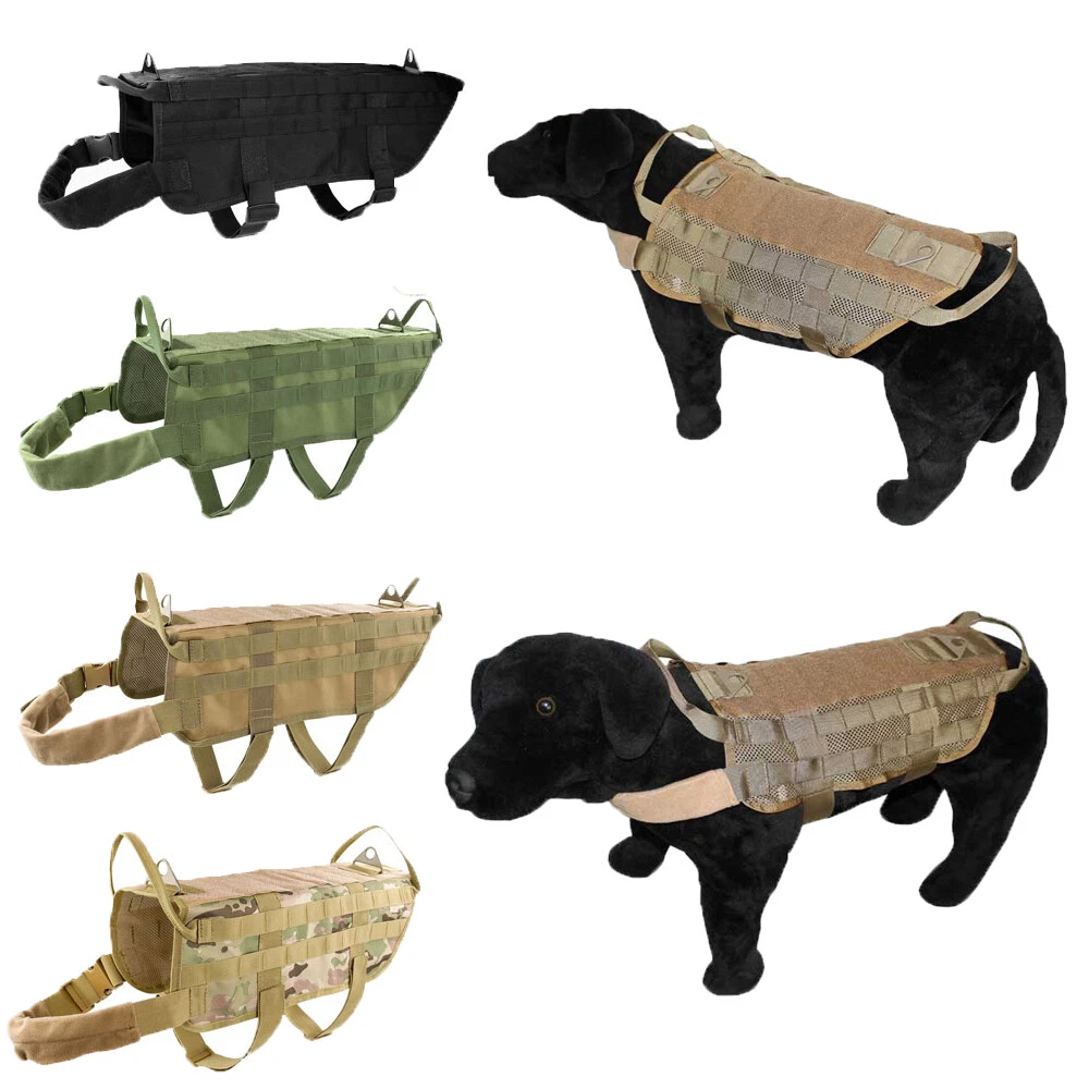 K9 clearance training supplies