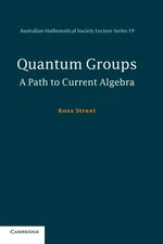 Quantum Groups: A Path to Current Algebra (Australian Mathematical Society L...