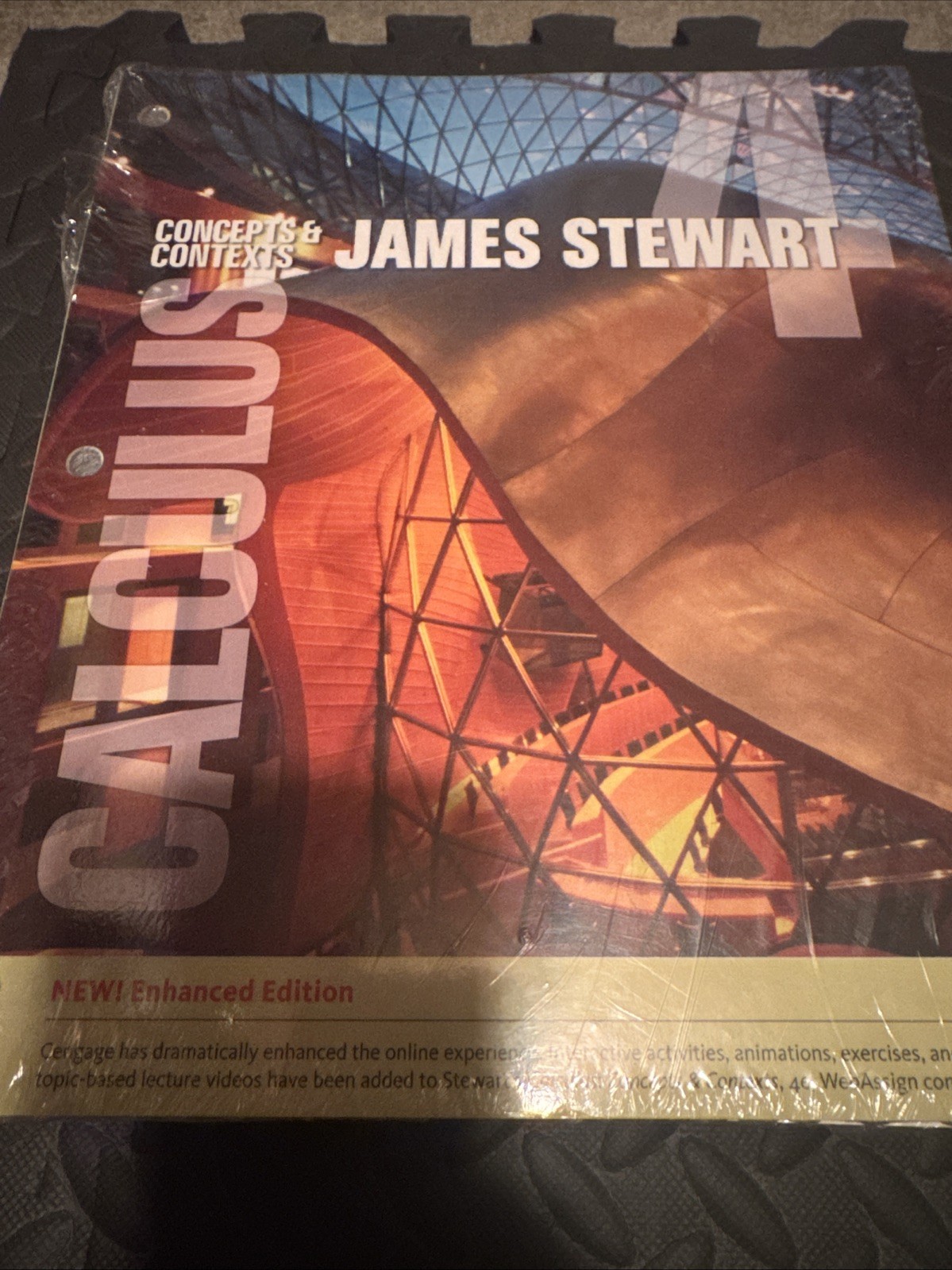 Calculus : Concepts and Contexts by James Stewart (2009, Paperback, Alternate)
