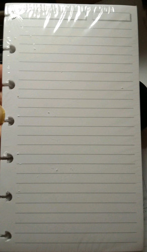 300 Refill Sheets for Levenger Circa Compact Notebook 1/4" lines. New old stock - Picture 1 of 2