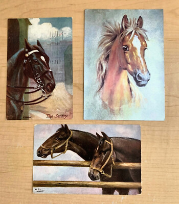 Set of 3 Equine Postcards 1910. 1922, 1974