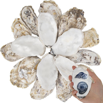 20 PCS Flat Oyster Shells for Crafts 3''-5'' Natural Oyster Shells Bulk, for Home