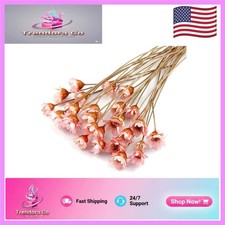 100 Stems Natural Dried Flowers Mini Daisy Bouquet - Lotus Color Decorative A...