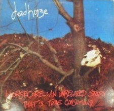 DEAD HORSE HORSECORE: AN UNRELATED STORY THAT'S TIME CONSUMING GUITAR TAB BOOK