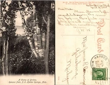 Birch Trees Ramona Park Harbor Springs Michigan MI Postcard