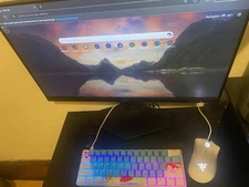 Monitor, Mouse and Keyboard