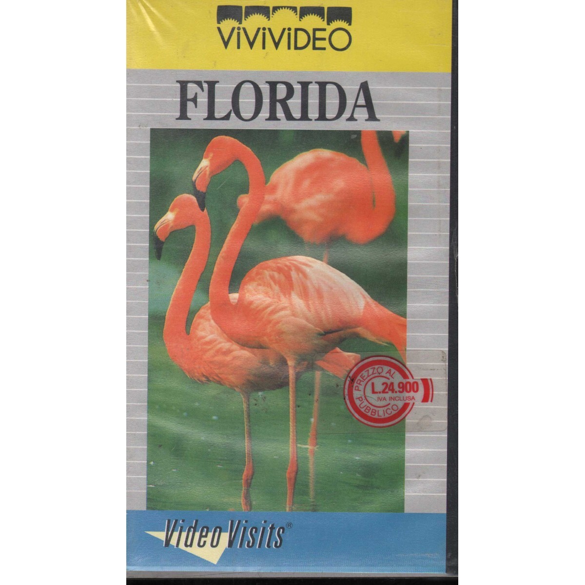 Video Visits: Florida VHS Univideo - VIVSVDF51200 Sealed