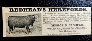 1900 George Redhead Farm Cattle Advertising - Des Moines - Iowa - Cow