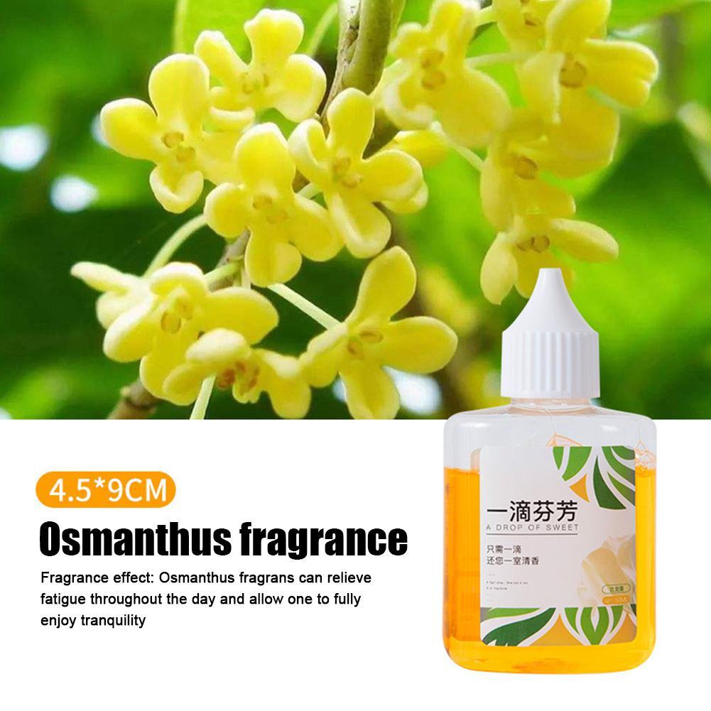 A Drop of Incense Household Freshener Toilet Deodorant Long Lasting