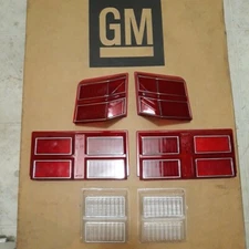 NEW! 1979-1980 Monte Carlo Tail Light LENS Set!