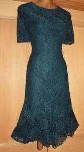 coast green lace dress