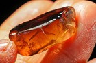 40.5Ct VVS Yellow Golden Champagne Imperial Topaz Specimen Facet Rough YTHV246 — photo 2