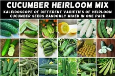 CUCUMBER 'Heirloom Mix' 25 Seeds ALL TYPES MIXED spring summer vegetable garden