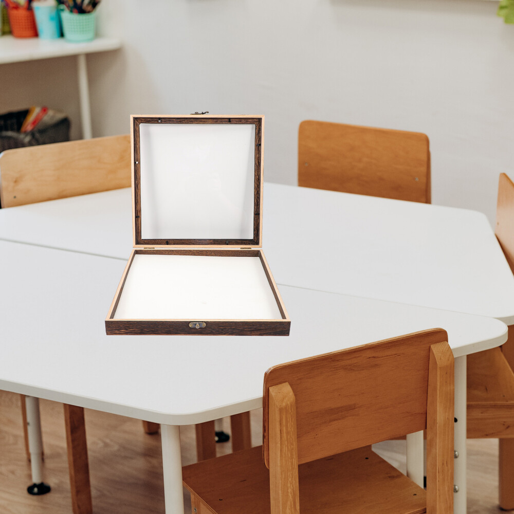 Specimen Wooden Box Specimen Display Box Wooden Specimen Showing Box eBay
