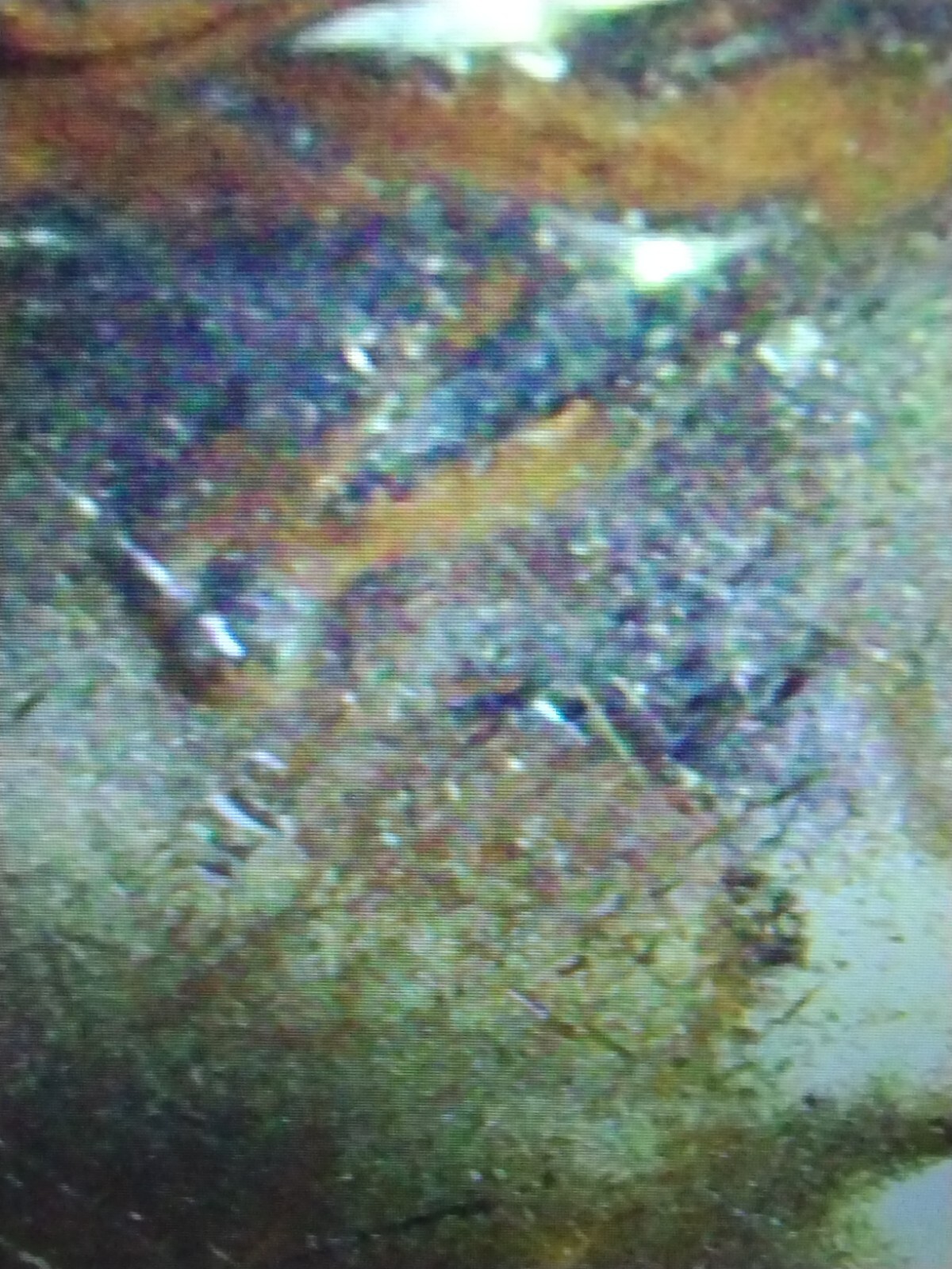 Picture 6 of 9