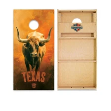 WSOC Cornhole Boards Skip's Garage Regulation Size Poplar Frame Lawn Game