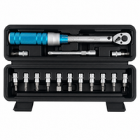 DrehmomentschlüSsel Set 1/4 Zoll 2–24 Nm 13 Bits Fahrrad Kraftwelle