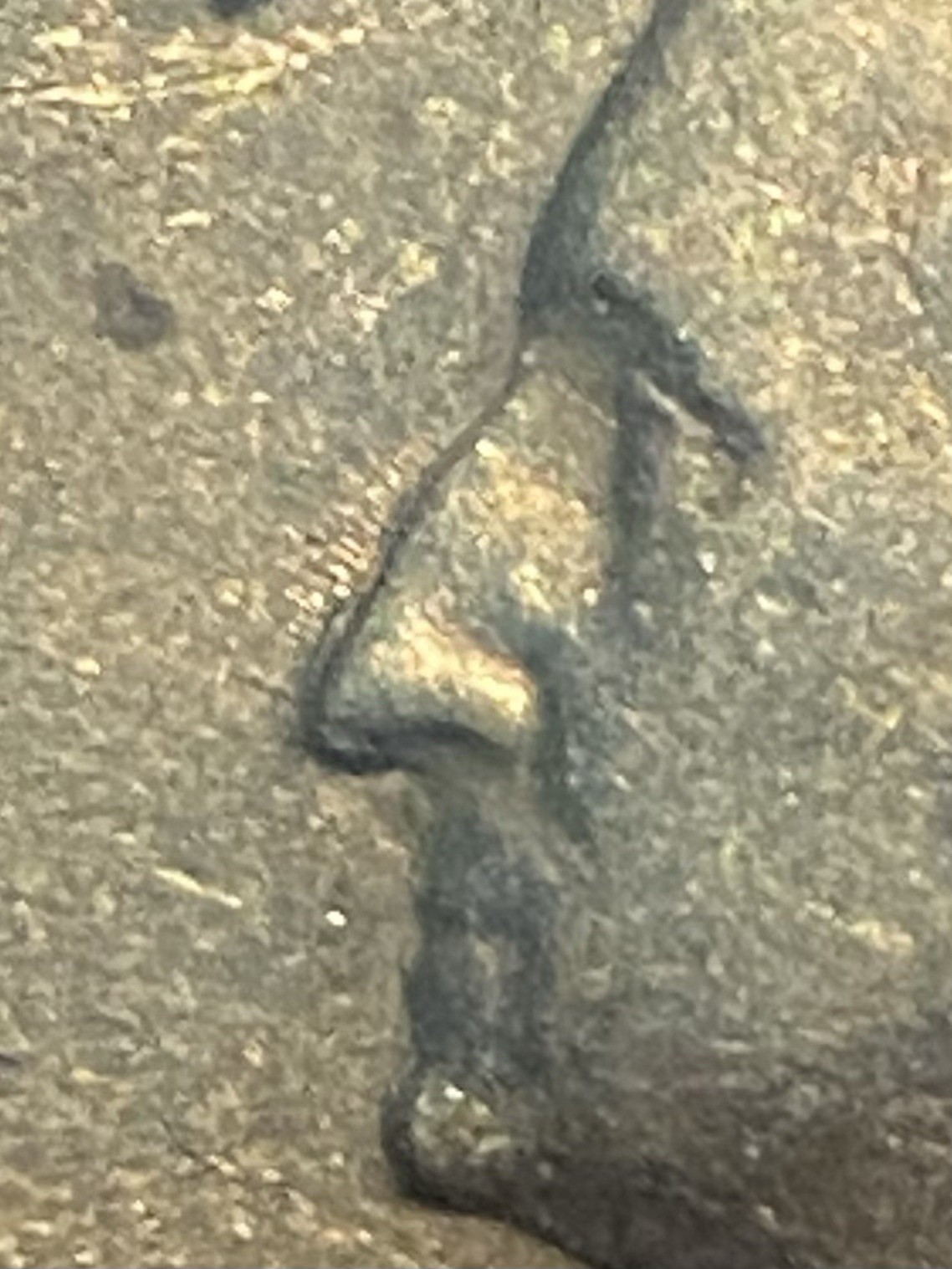 Picture 4 of 17