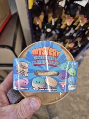1 Dollar tree viral Mystery Squishy Bun Mystery Dumpling And Steam Pot