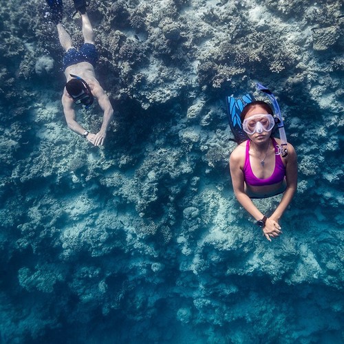 Suunto D4F - Ordenador de apnea - Negro - Apnea, snorkel y pesca submarina - Imagen 6 de 6