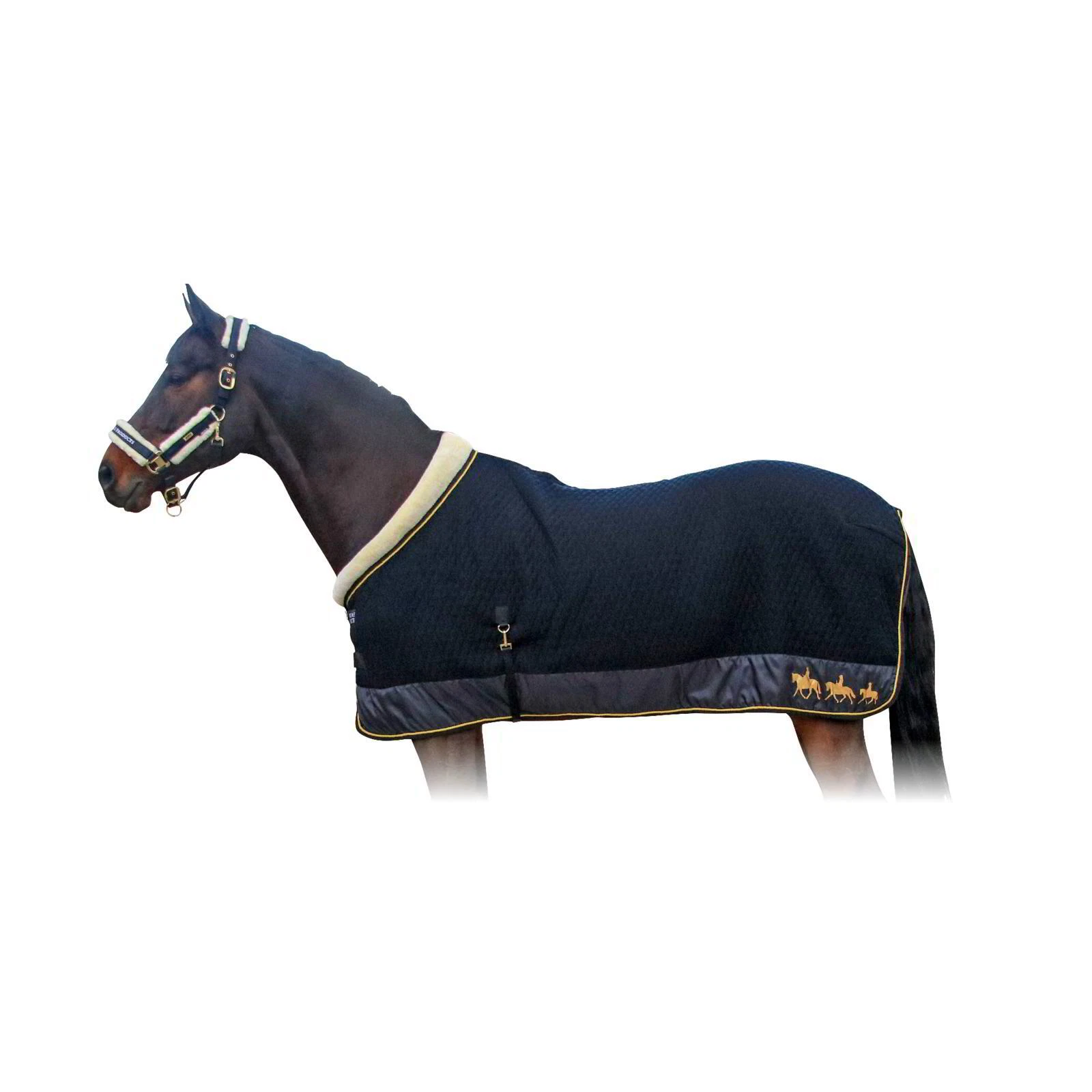 Supreme Products Royal Occasion Rug - Black