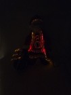 Bild 6 von 11