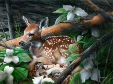 Undercover II by Kevin Daniel Fine Art Print Deer Doe Wildlife Nature 20x26