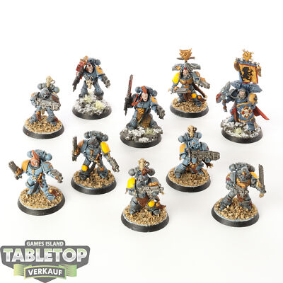 Space Wolves - 10 x Grey Hunters - bemalt