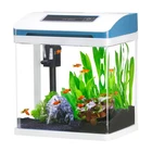 Small 2 Gal Glass Fish Tank Aquarium Starter Kit Self-Cleaning w/Colorful LED
