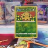 Shroomish 003/172 - Brilliant Stars - Reverse Holo - Common - Pokemon Card - NM